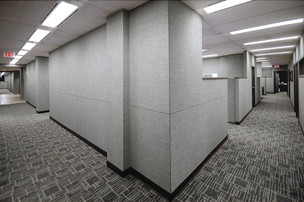 28. Full Coverage in Office Hallway