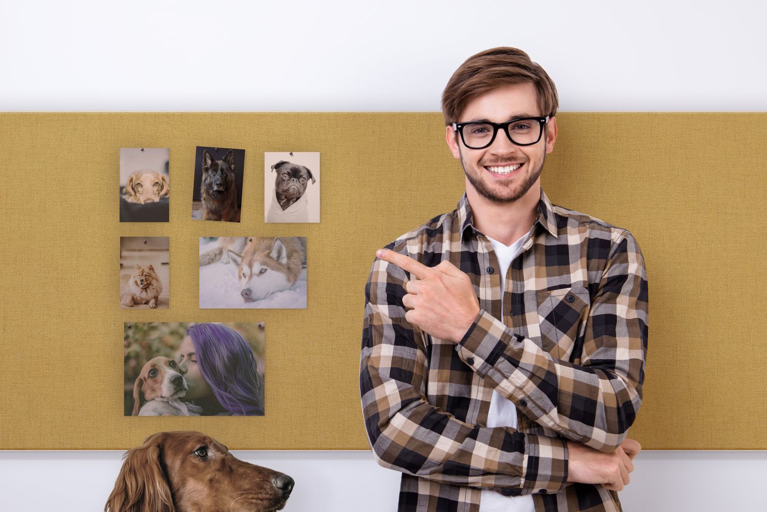 Single band tango  panel - man pointing at the pictures of his dogs and girlfriend