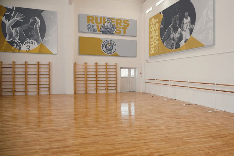 custom graphic printed acoustic panels in school gym