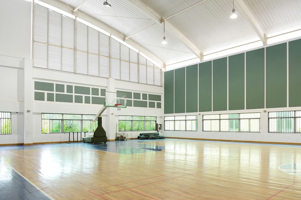 1. Gymnasium with Green Site-Fabricated Acoustic Panels