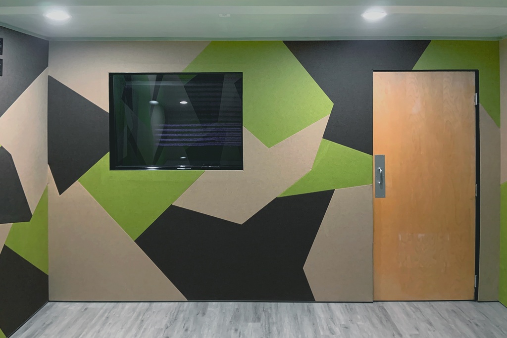 12. Recording Studio with Acoustic Geometric Full-Wall Installation