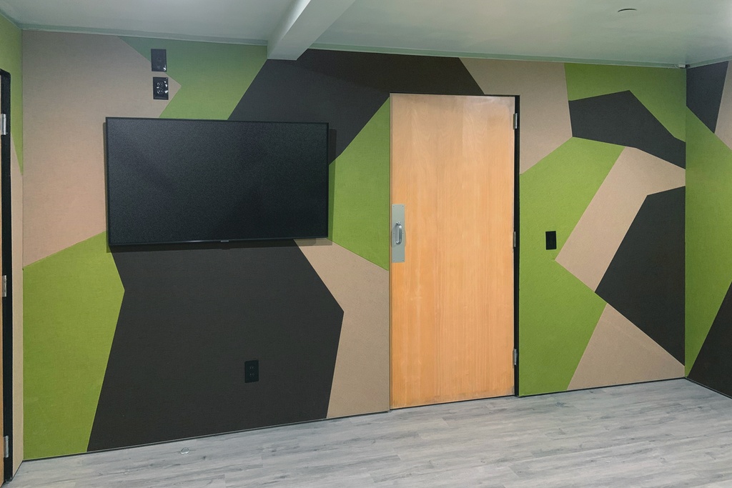 15. Recording Studio with Acoustic Geometric Full-Wall Installation (side4)
