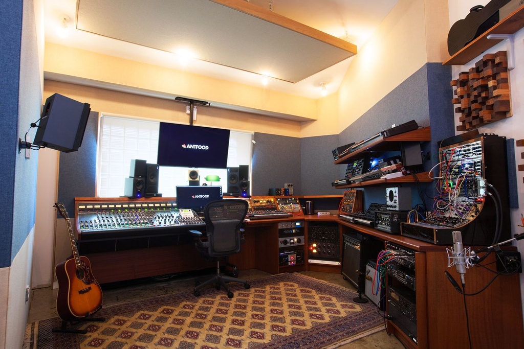 5. Single Band Acoustic Panels Installed in a Recording Studio